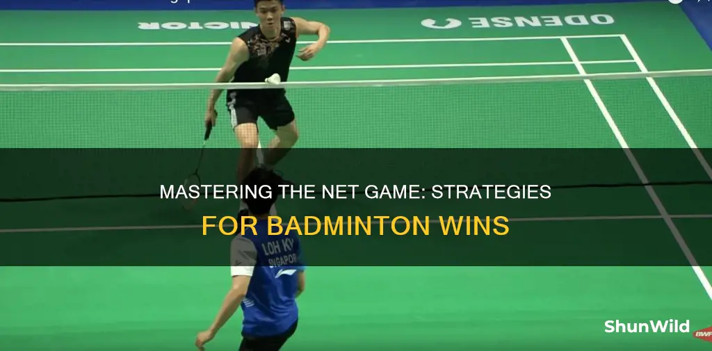 how to cross net badminton