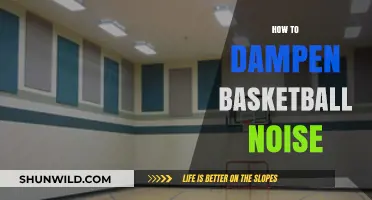 Quieting the Court: Dampening Basketball Noise for Peace and Quiet
