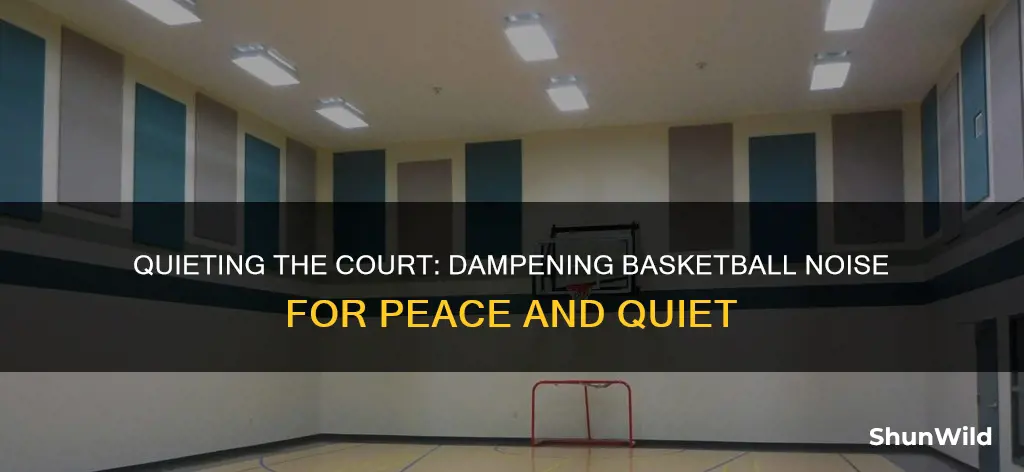 how to dampen basketball noise