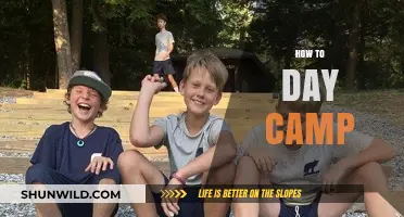 Essential Tips for Planning and Enjoying a Successful Day Camp Adventure
