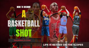 The Art of Describing a Basketball Shot