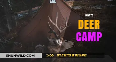 Mastering the Art of Deer Camping: Tips, Tricks, and Techniques