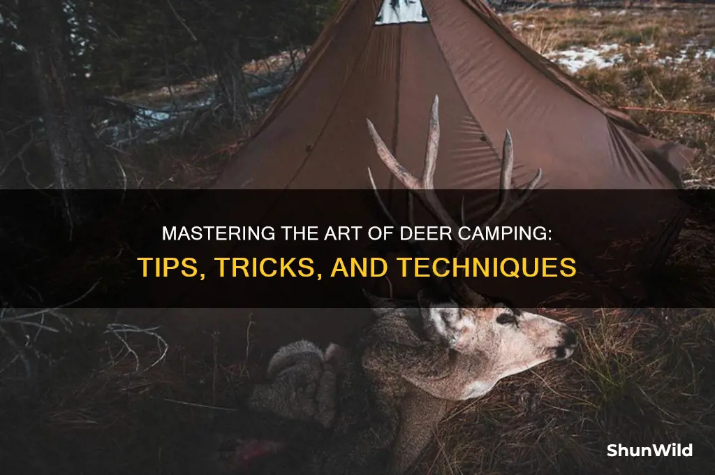 how to deer camp
