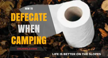 Camping Poop Guide: Tips for Comfortable Defecation in the Wilderness
