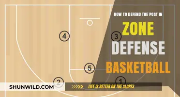Defending the Post: Zone Defense Strategies in Basketball