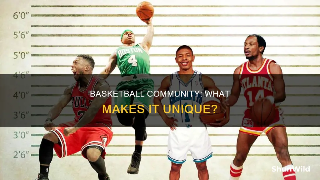 how to define the basketball community