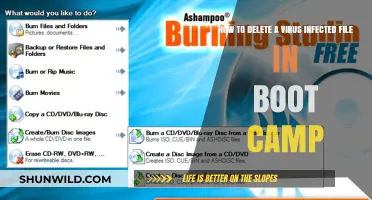 Remove Virus-Infected Files from Boot Camp: A Step-by-Step Guide