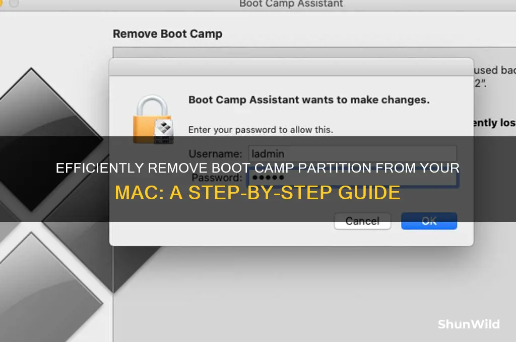 how to delete boot camp partition from ac