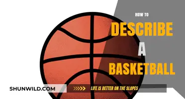 The Art of Describing a Basketball