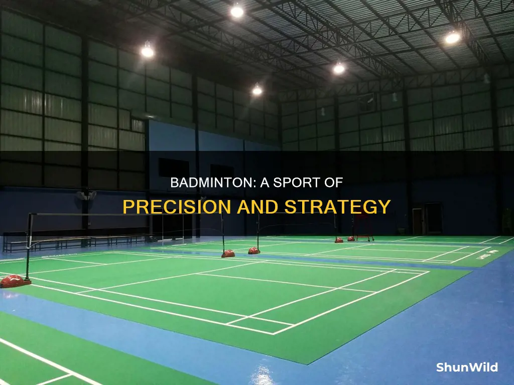 how to describe badminton
