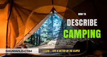 Unplug and Reconnect: Capturing the Essence of Camping Adventures