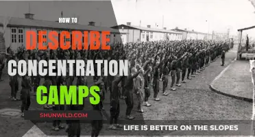 Understanding Concentration Camps: Accurate, Respectful, and Informative Descriptions