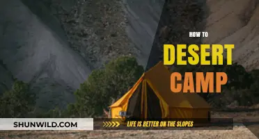 Master Desert Camping: Essential Tips for a Safe Adventure