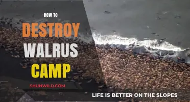 Effective Strategies to Dismantle and Destroy a Walrus Camp Safely