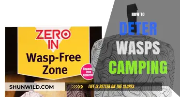 Effective Ways to Keep Wasps Away from Your Campsite
