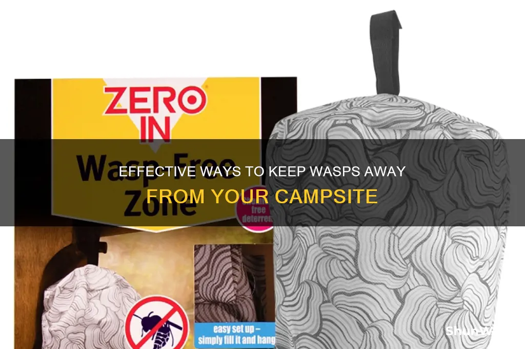 how to deter wasps camping