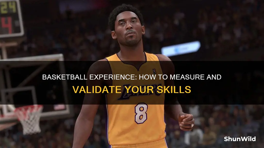 how to determine basketball experience