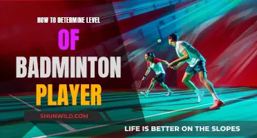 Assessing Badminton Skill Levels: A Guide