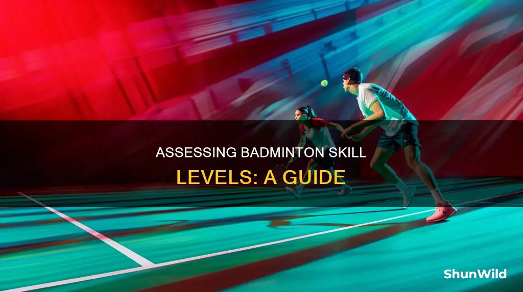 how to determine level of badminton player