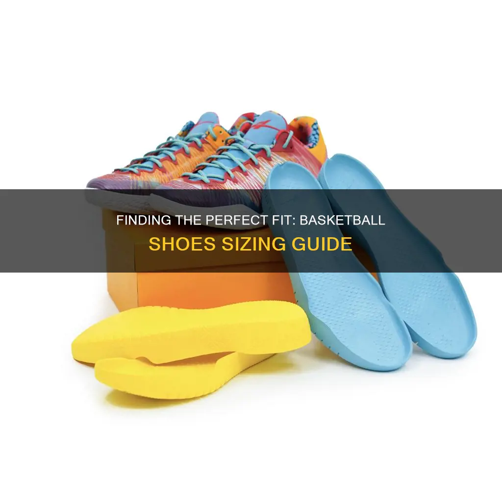 how to determine my basketball shoe size