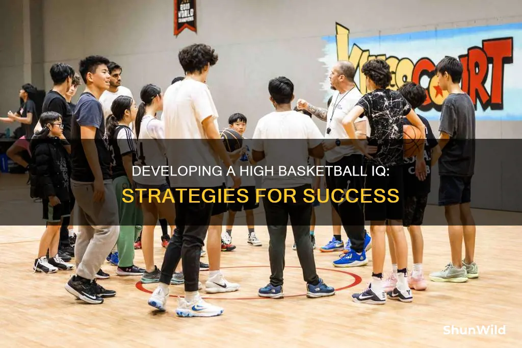 how to develop a high basketball iq