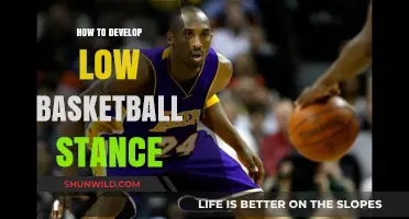 Developing a Powerful Basketball Stance