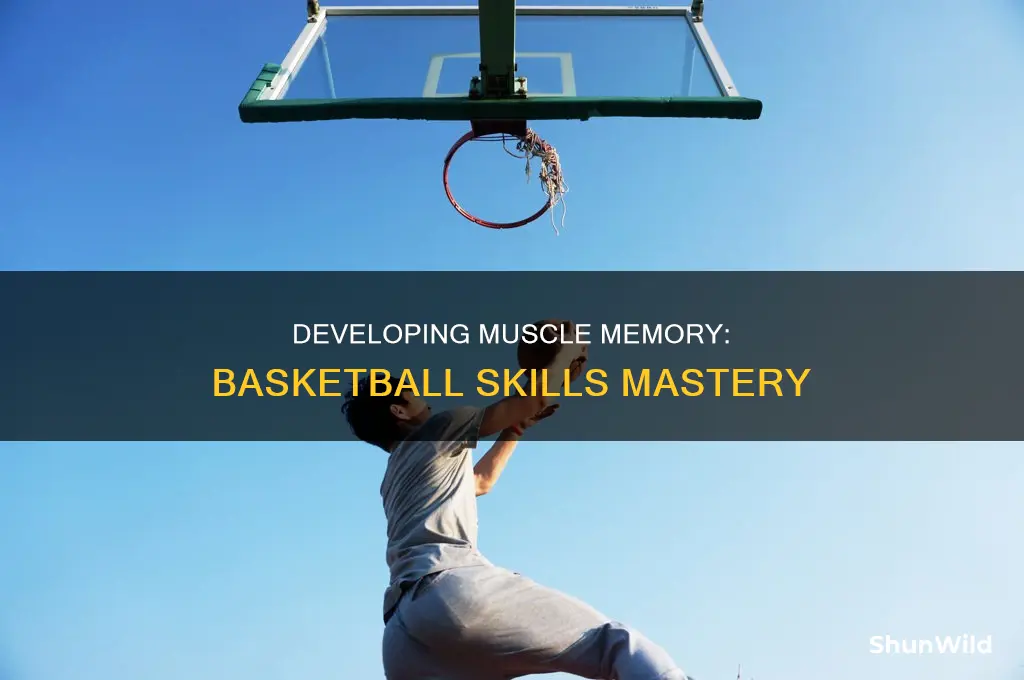 how to develop muscle memory in basketball