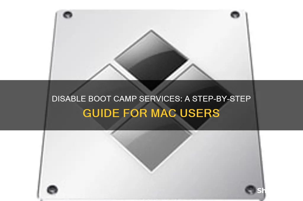 how to disable boot camp services