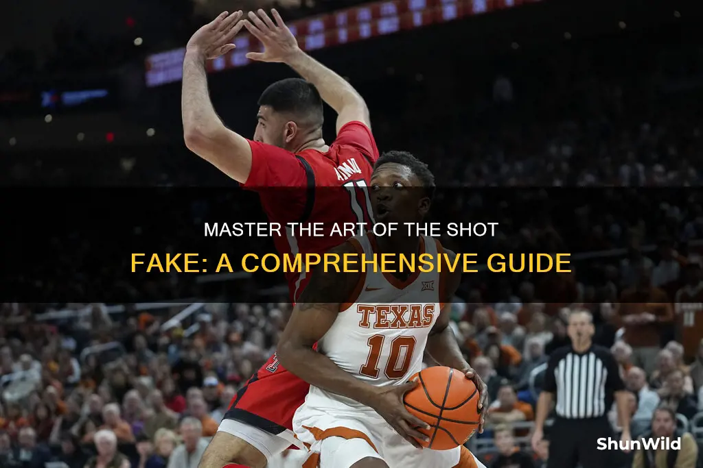 how to do a shot fake in basketball