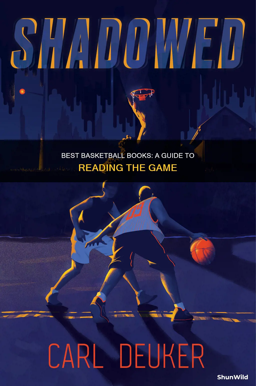 how to do basketball books