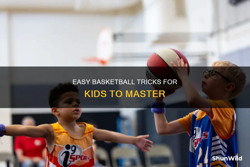 how to do basketball tricks for kids