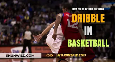 Mastering the Behind-the-Back Dribble in Basketball