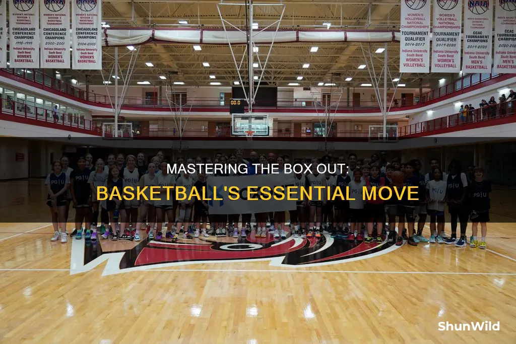 how to do box out in basketball