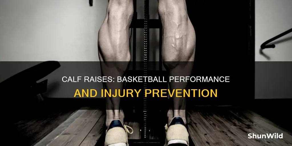 how to do calf raises basketball