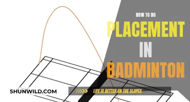Strategic Badminton: Mastering Court Placement
