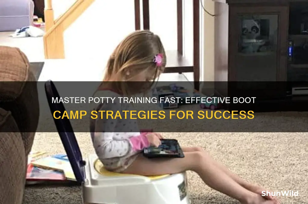 how to do potty training boot camp