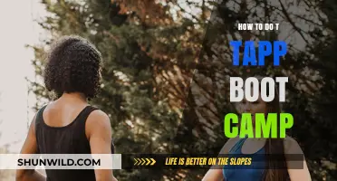 Master T-Tapp Boot Camp: Effective Workouts, Results, and Tips