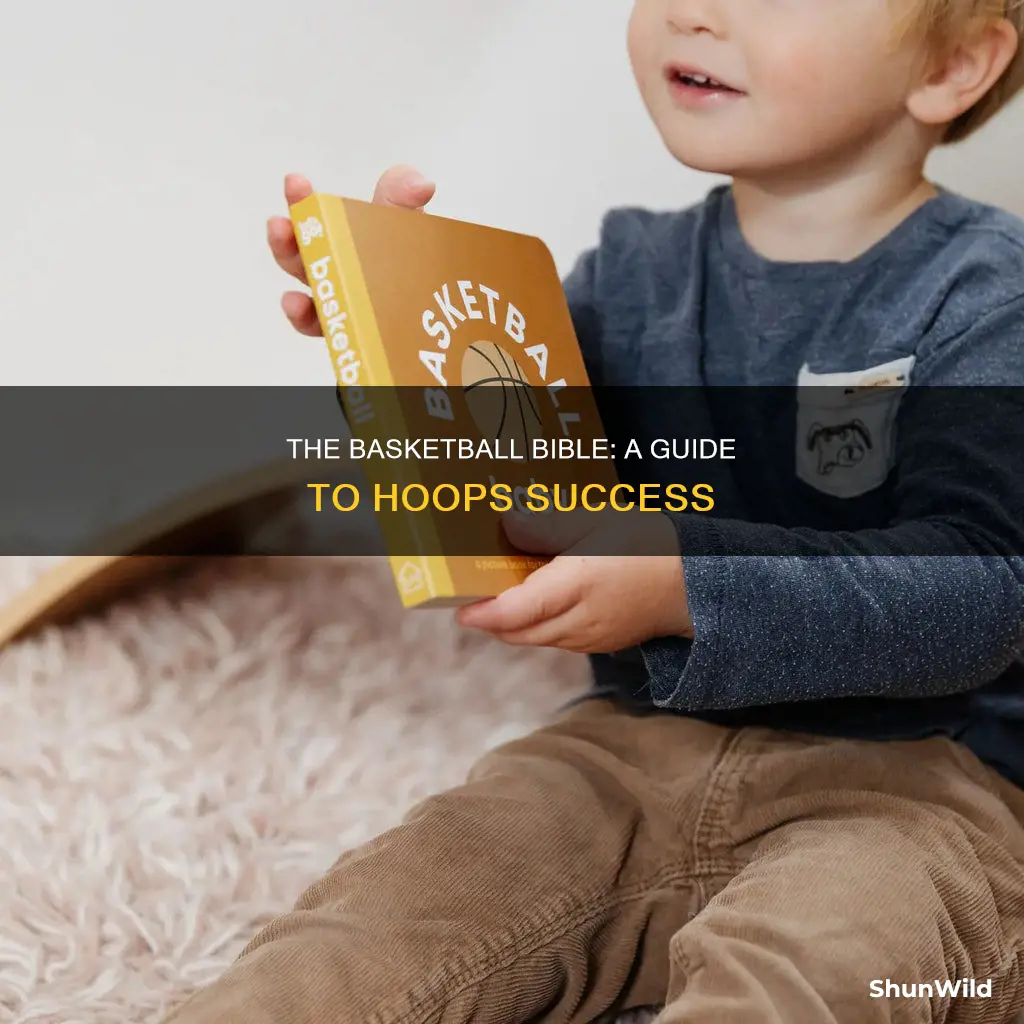 how to do the basketball book