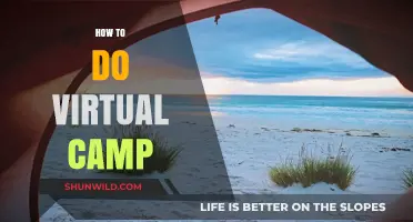 Mastering Virtual Camping: Tips, Tricks, and Tools for an Unforgettable Experience