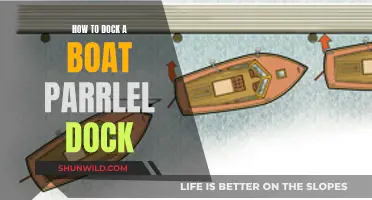 Docking a Boat: Perfecting the Parallel Parking of the Sea