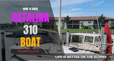 Docking a Catalina 310: A Step-by-Step Guide