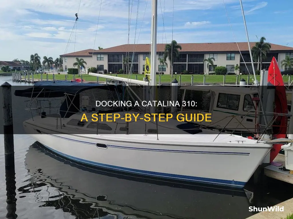 how to dock catalina 310 boat