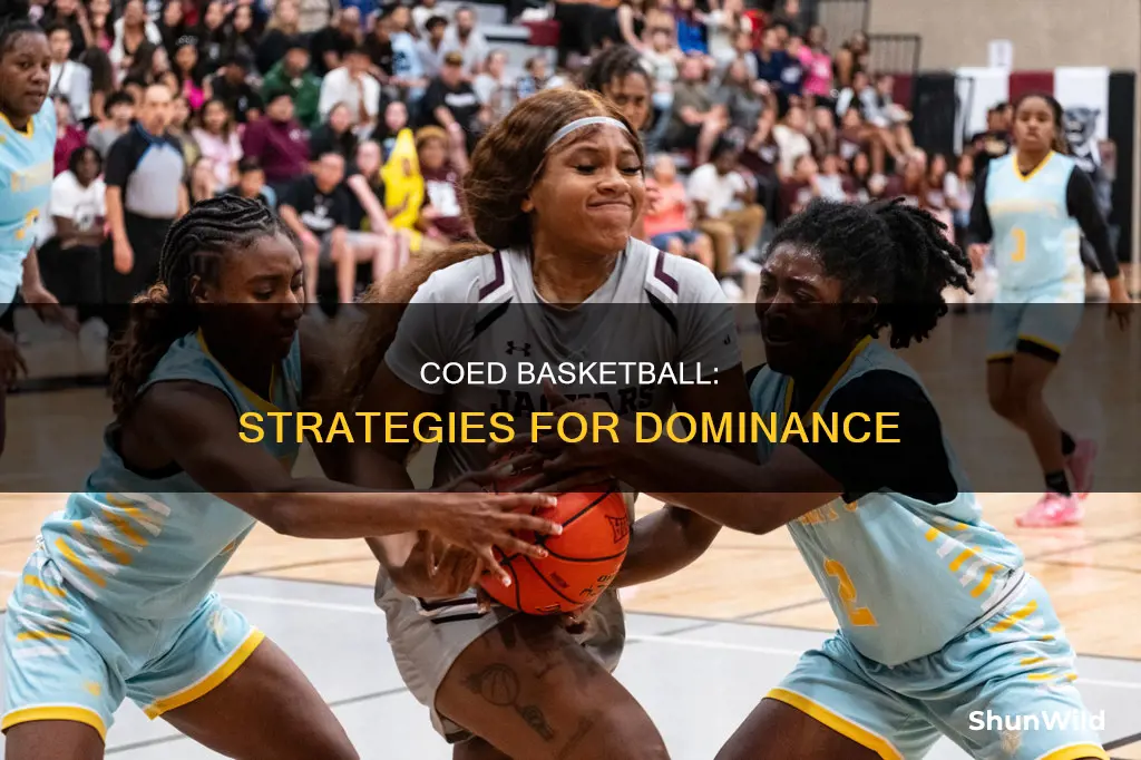 how to dominate in coed basketball
