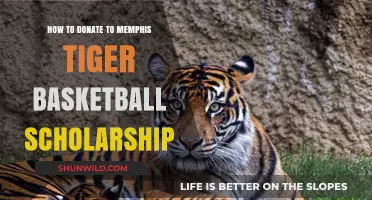Support Memphis Tiger Basketball with Scholarship Donations