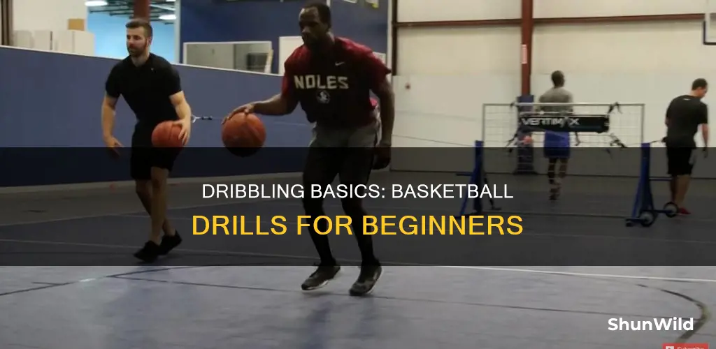 how to dribble a basketball beginner