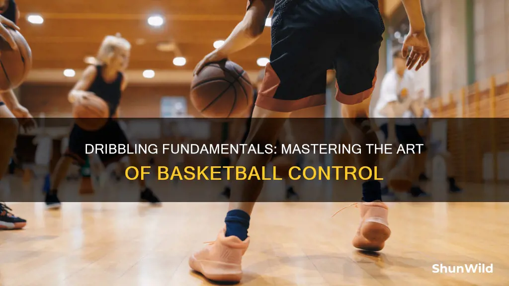 how to dribble a basketball fundamentals
