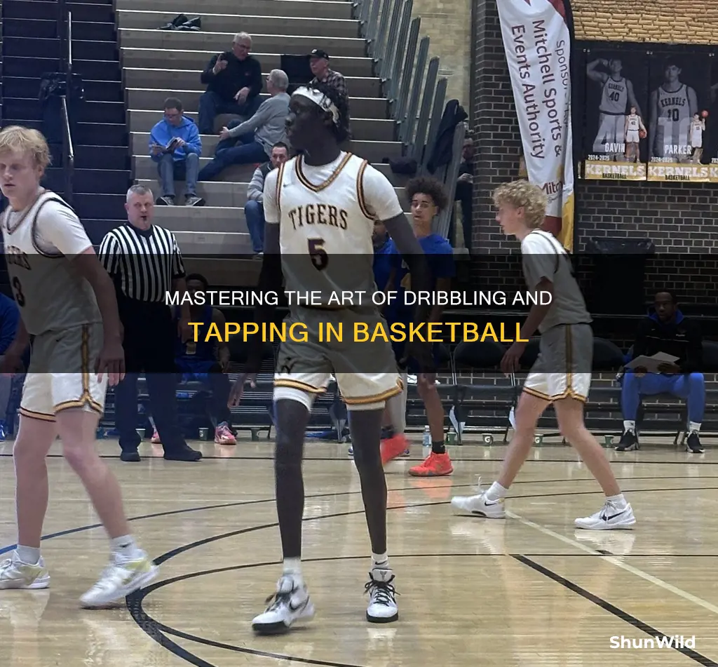 how to dribble and tap with basketball