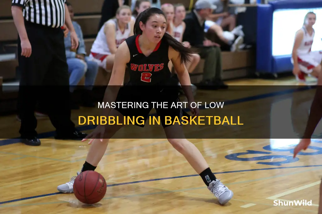 how to dribble low in basketball