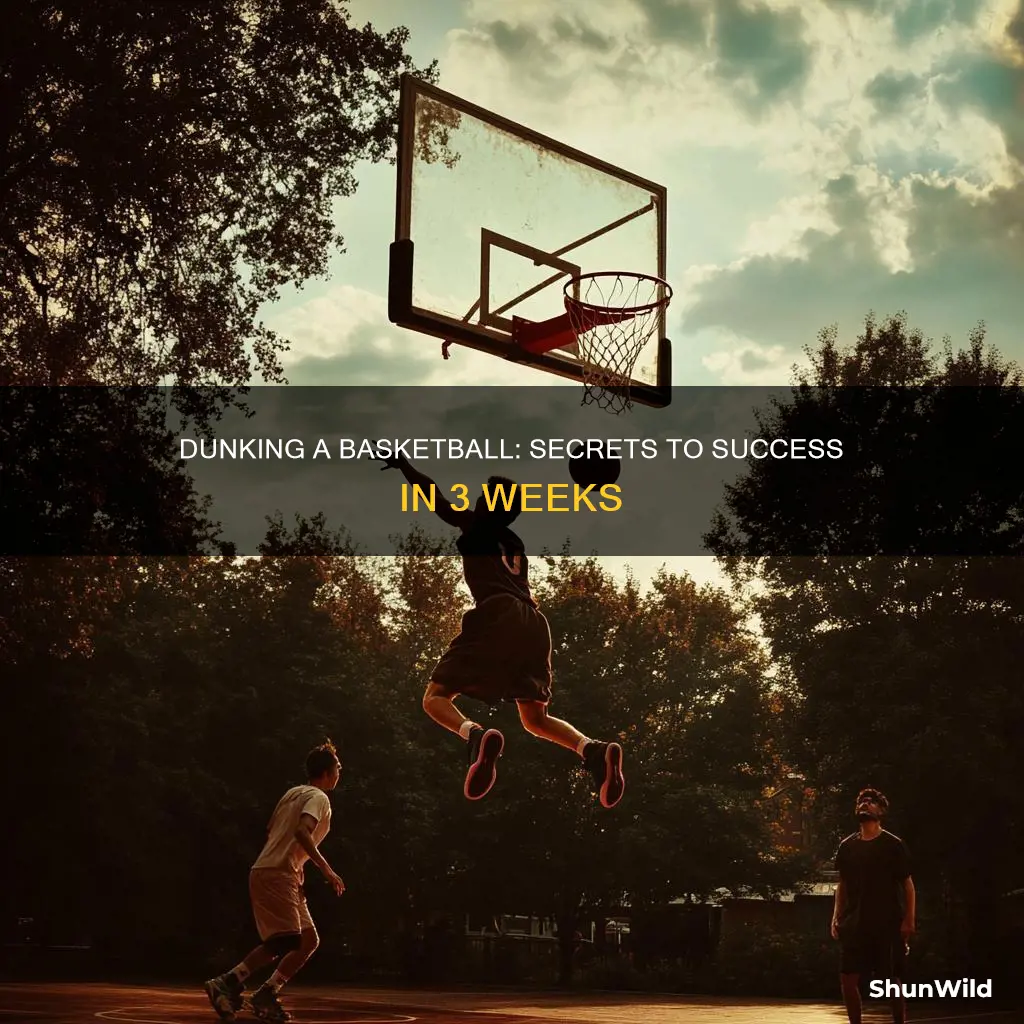 how to dunk a basketball in 3 weeks