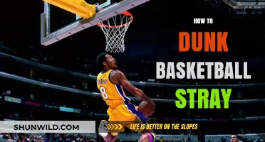 Dunking Secrets: Mastering the Basketball Court